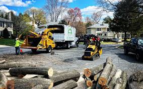 Best Firewood Processing and Delivery  in USA